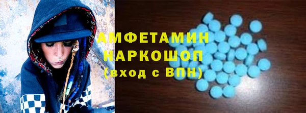 сатива Армянск