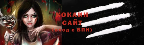 индика Аркадак