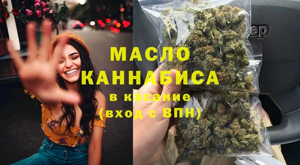 индика Аркадак