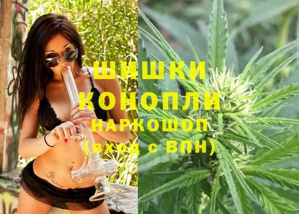 индика Аркадак