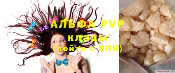 индика Аркадак