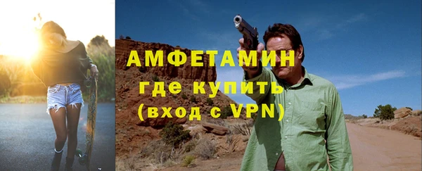 индика Аркадак