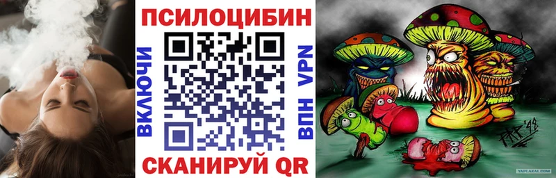 Галлюциногенные грибы Cubensis  закладка  Можга 